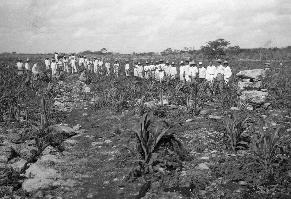 Campesinos en la milpa.