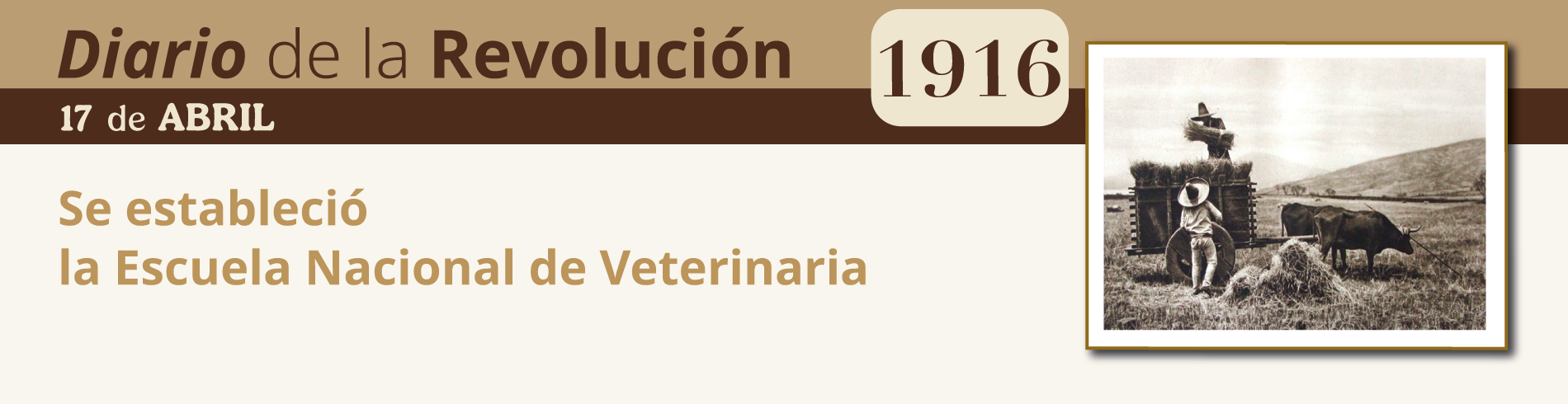 Diario de la Revolución